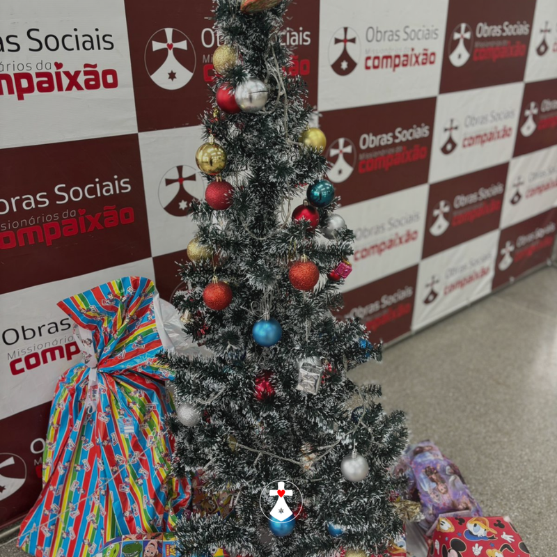 Solidariedade e Compaixão marcaram o Almoço de Natal do Projeto Conexão Vida!